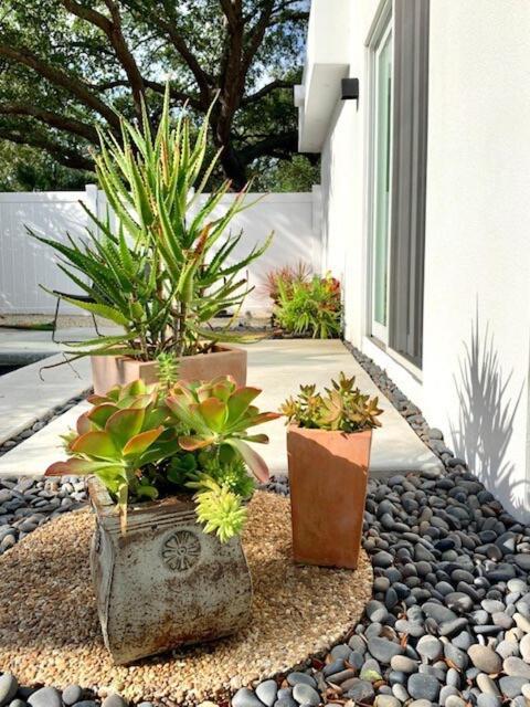 הוילה Hiddengem In Charming Sarasota, Florida מראה חיצוני תמונה