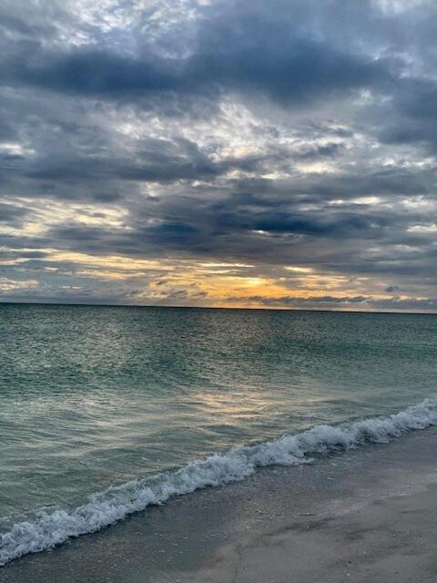 הוילה Hiddengem In Charming Sarasota, Florida מראה חיצוני תמונה