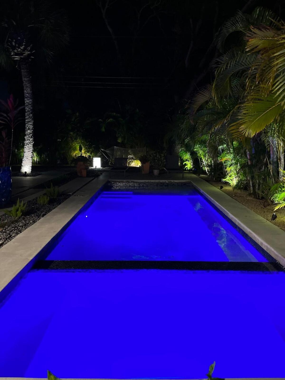 הוילה Hiddengem In Charming Sarasota, Florida מראה חיצוני תמונה